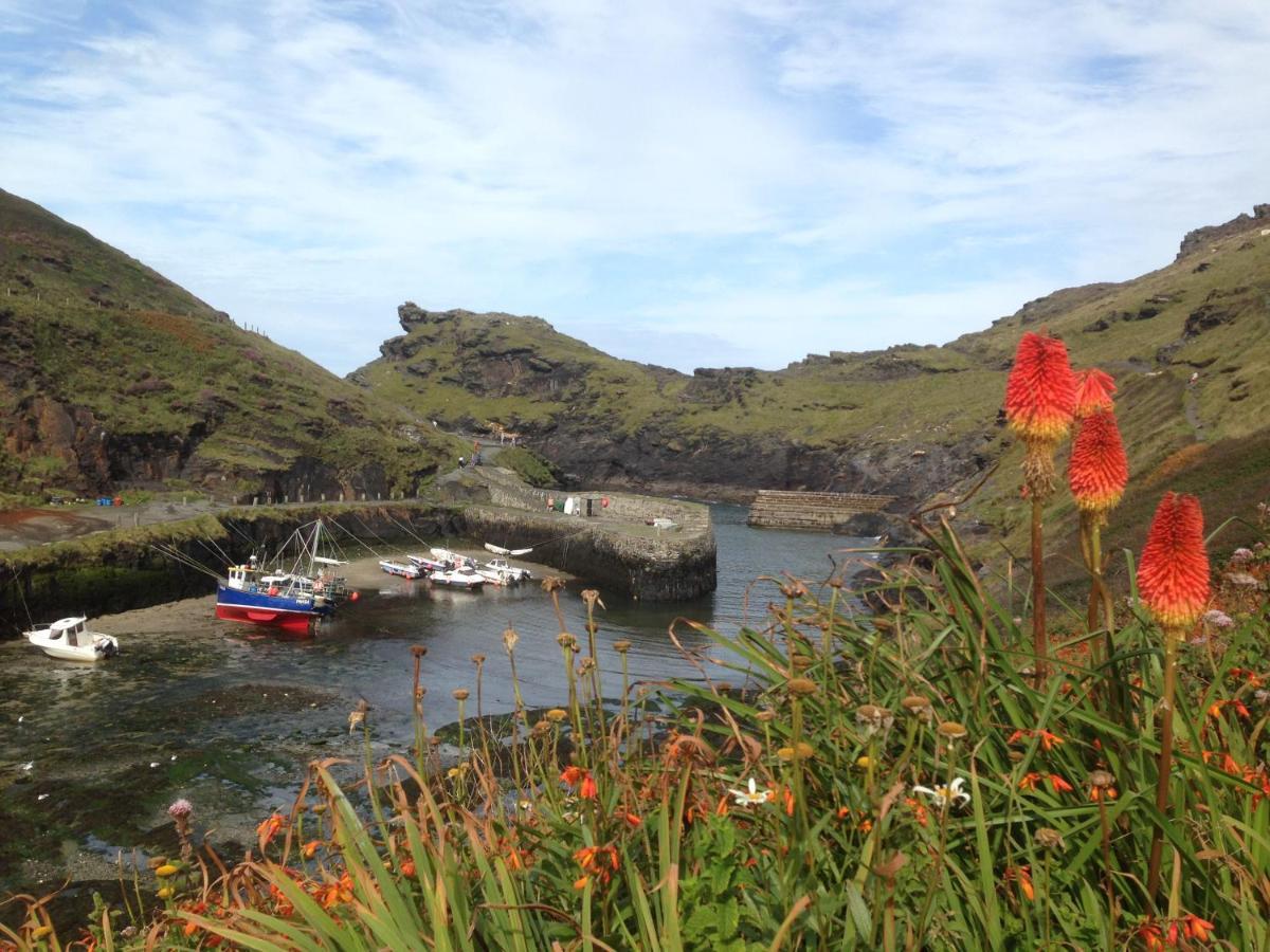 Harbour Light Lägenhet Boscastle Exteriör bild