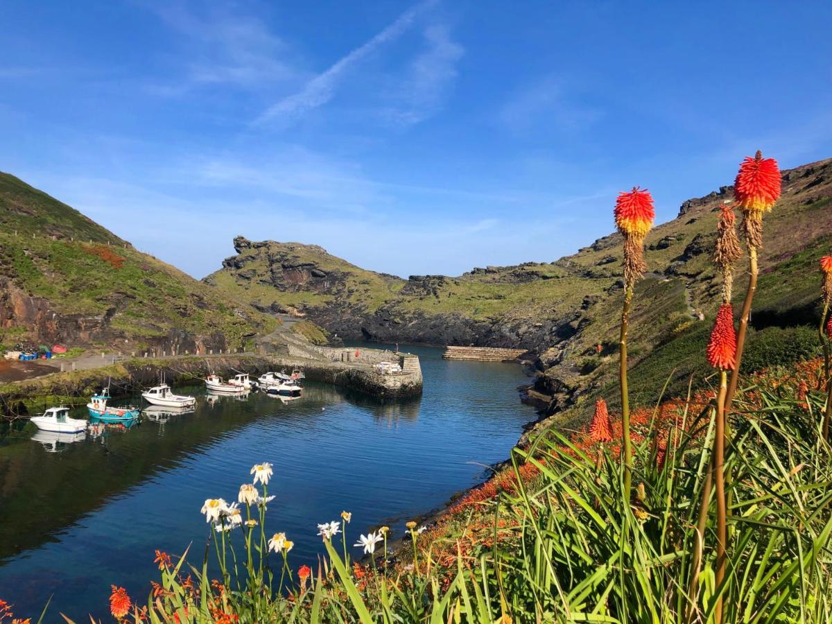 Harbour Light Lägenhet Boscastle Exteriör bild